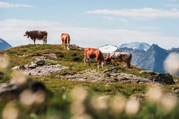 #PICS AM BERG by Josef Martin Heim